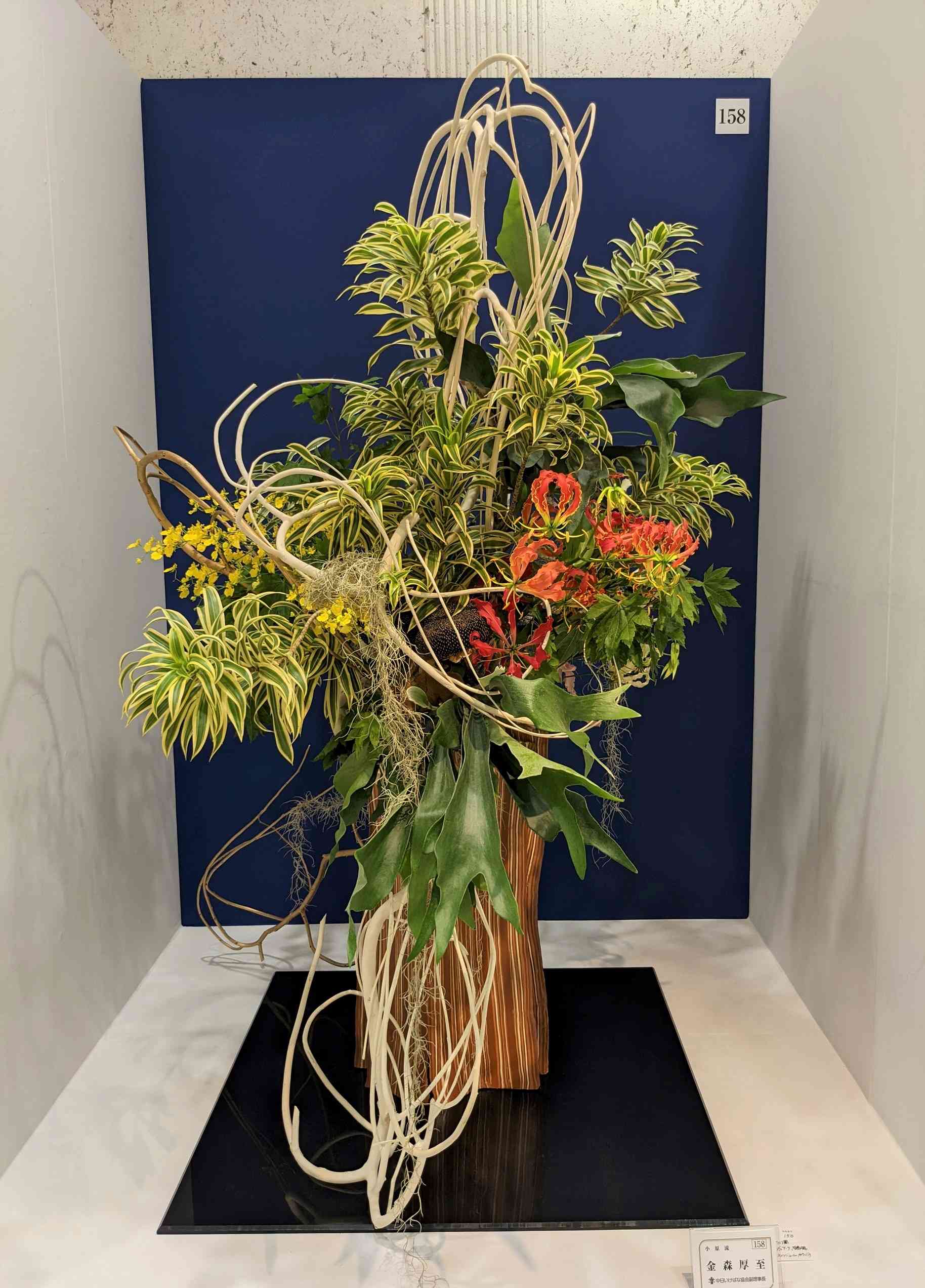 四季を彩る小原流 月朝10:00|講座紹介|栄中日文化センター|中日文化センターグループ 四季を彩る小原流 月朝10:00|講座紹介|栄中日文化センター|中日文化センターグループ