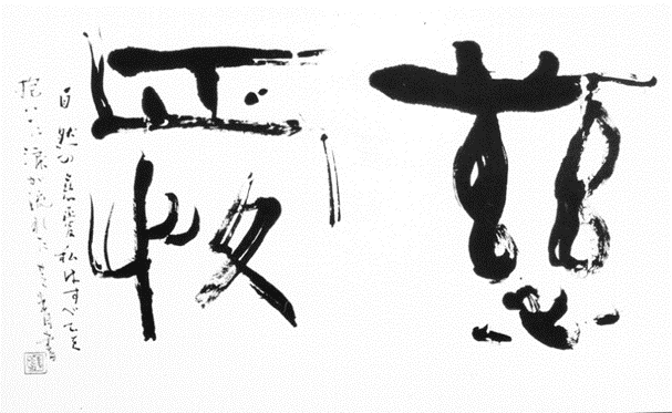 u֘A摜FS₩j