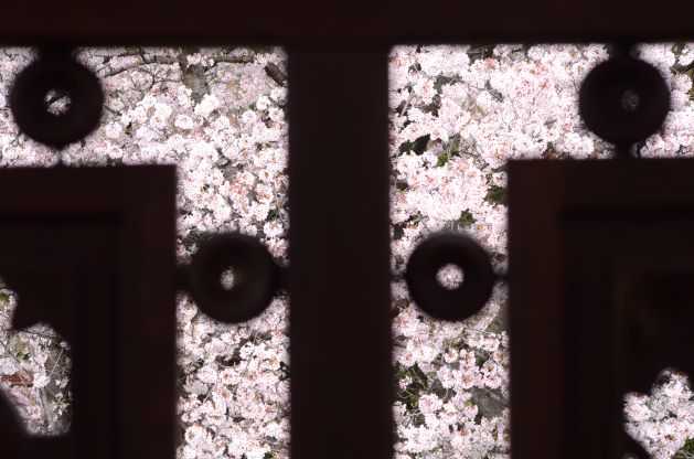 u֘A摜FGWCtHgCt