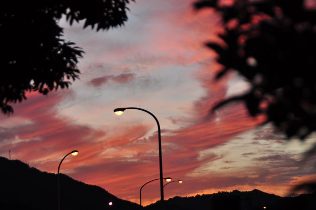 u֘A摜FtB[htHg[NX