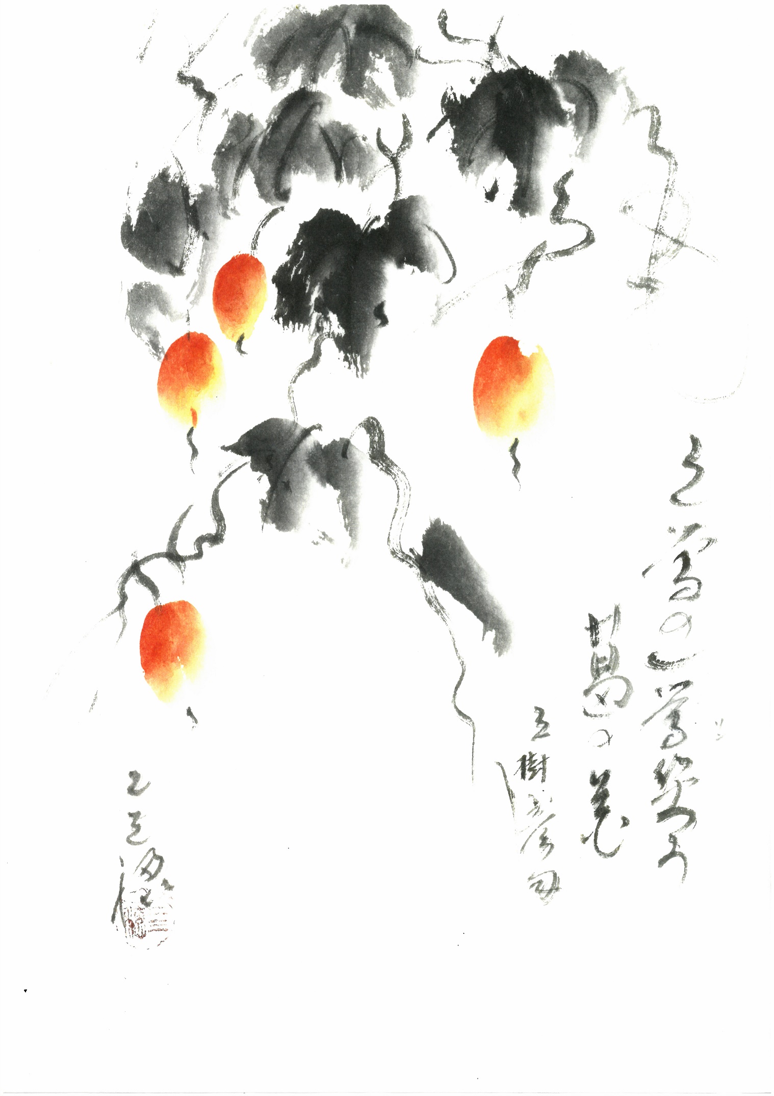 u֘A摜F̔o