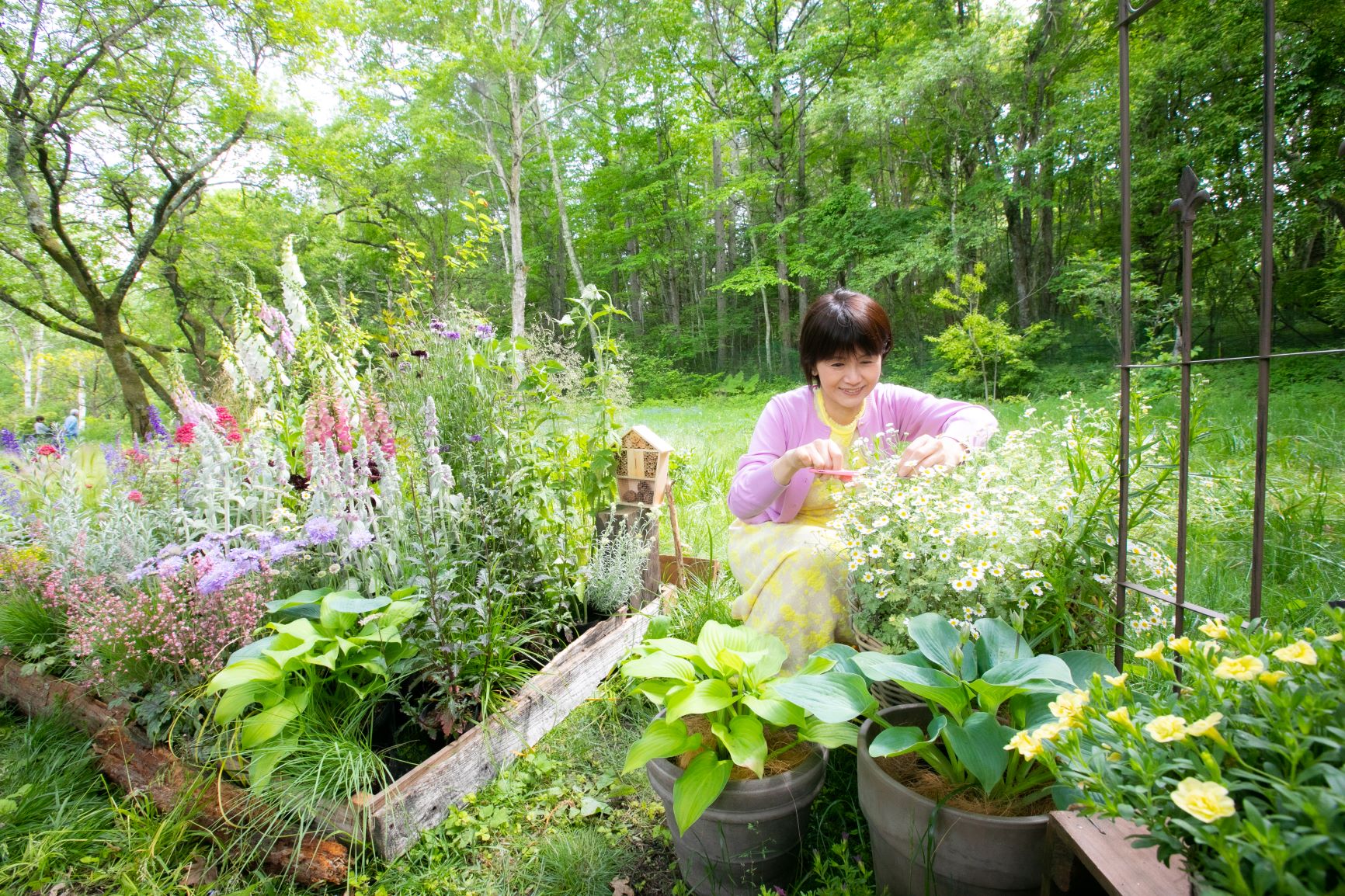 木の実を集めてリースを作る: トロッケンクランツテキストブック