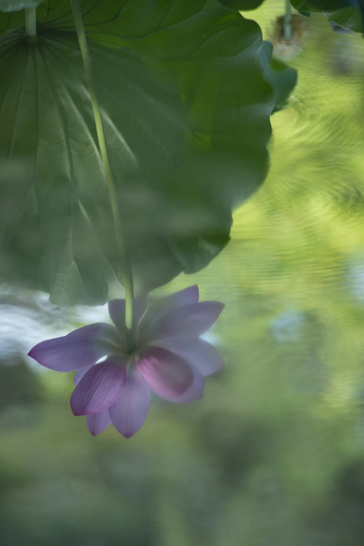 u֘A摜FԂƕiBʐ^