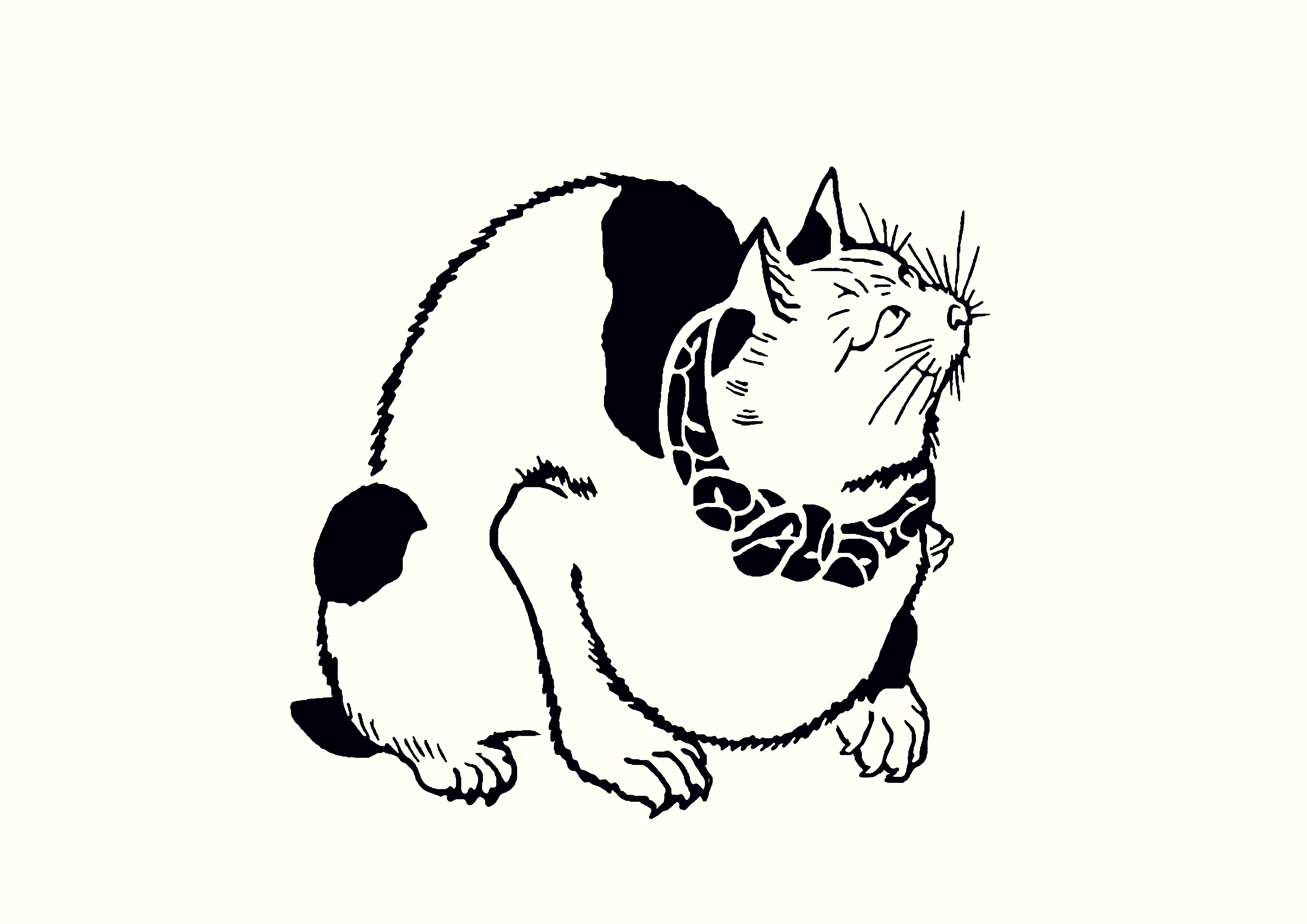 u֘A摜FG肦