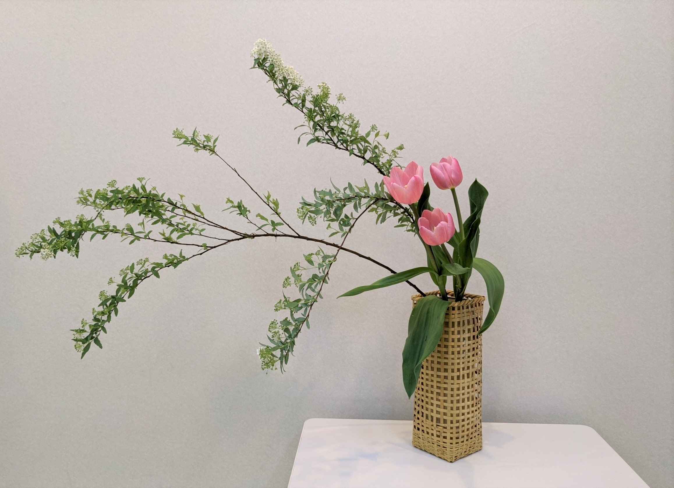 �u���֘A�摜�F�Ԍ|���B��