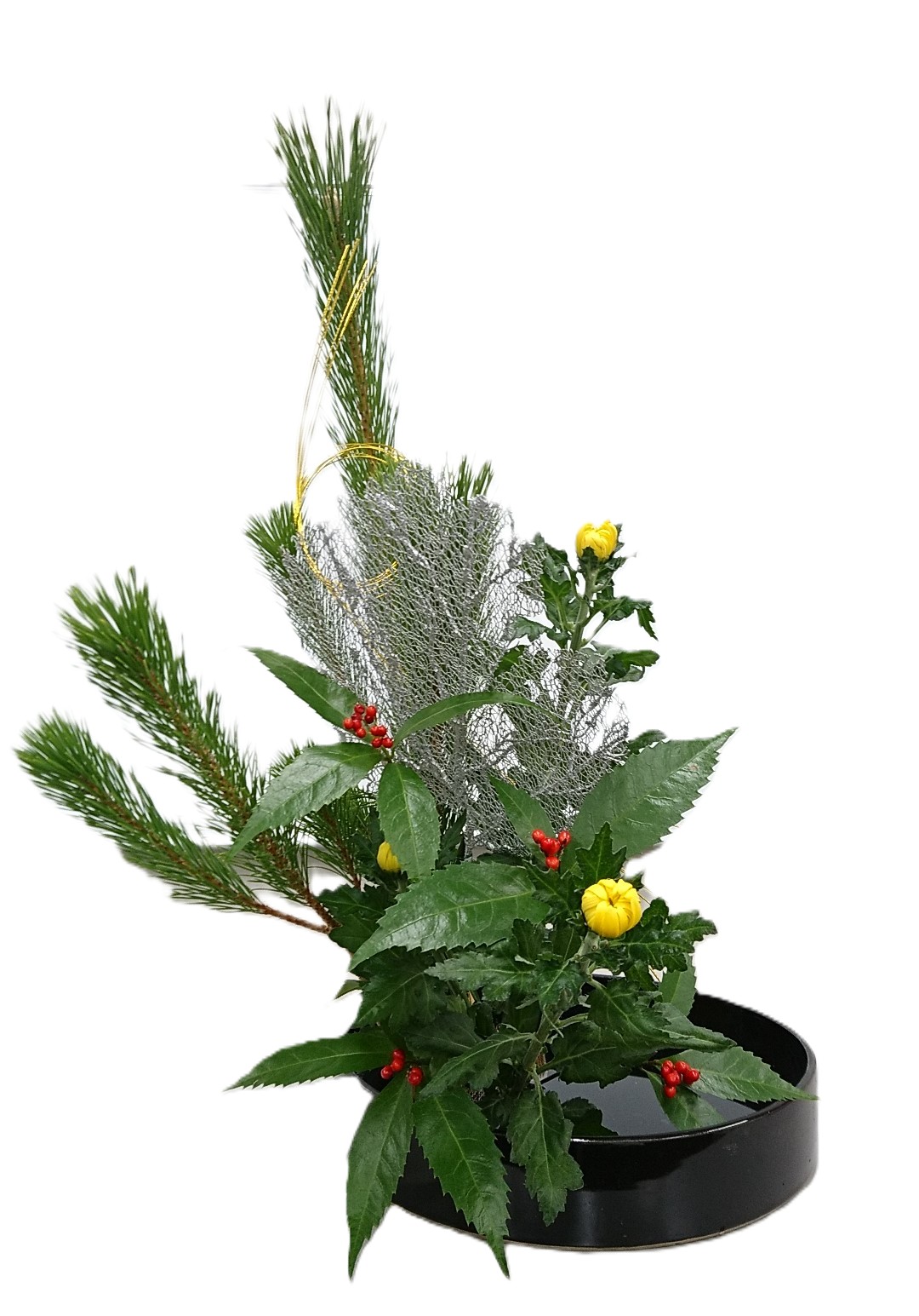 �u���֘A�摜�F�������@�A����13�F30