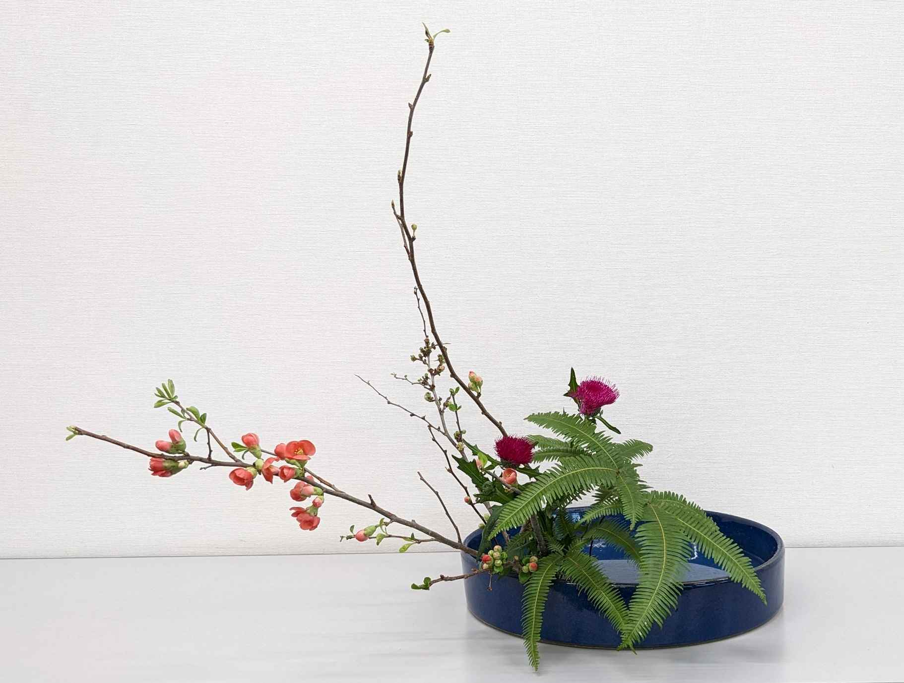 �u���֘A�摜�F�������@�A����13�F30