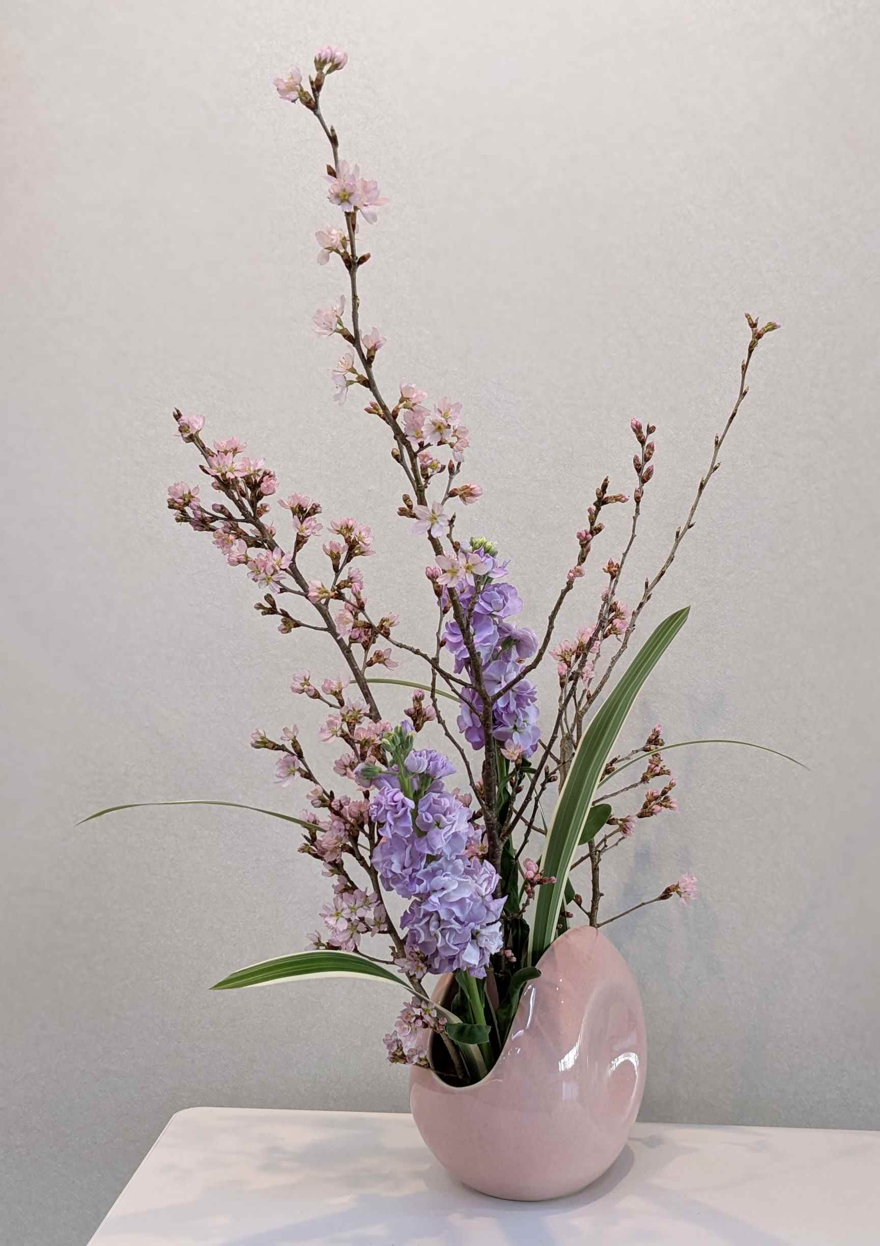 �u���֘A�摜�F���炵�̂����΂ȓ���@�^�����@�@�B�y�[15�F30