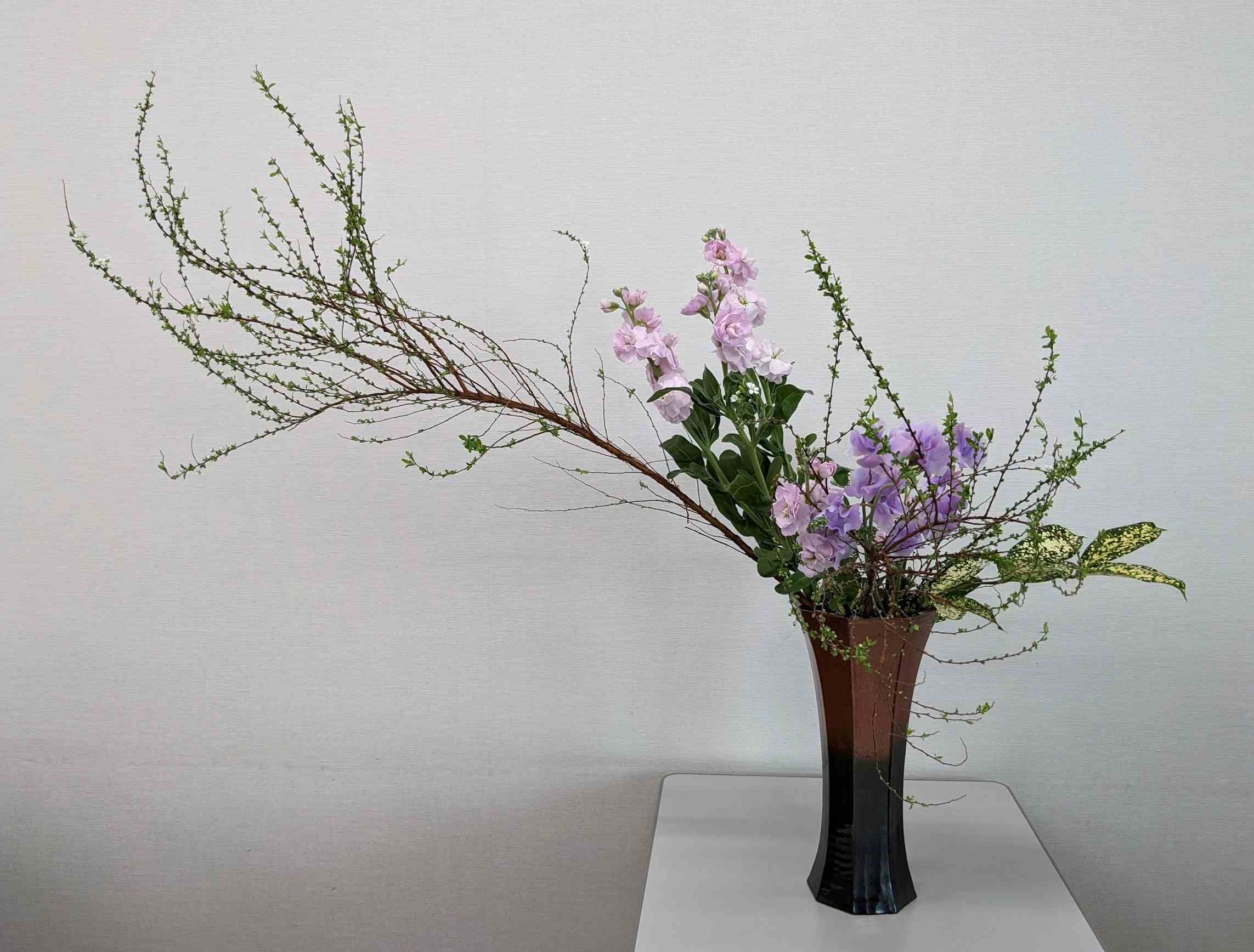 �u���֘A�摜�F�Γc���@�@�B����10�F00