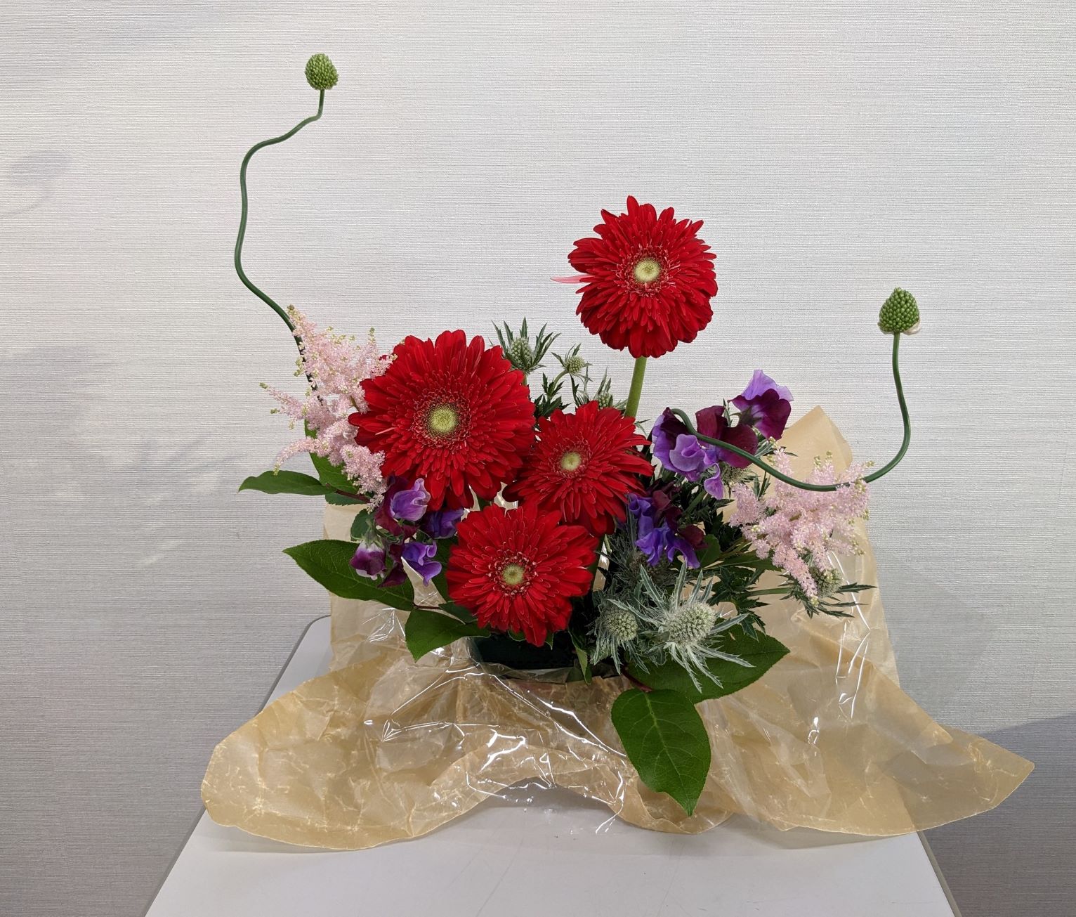 u֘A摜FΓcE炵̉ԁ@@B[15F30