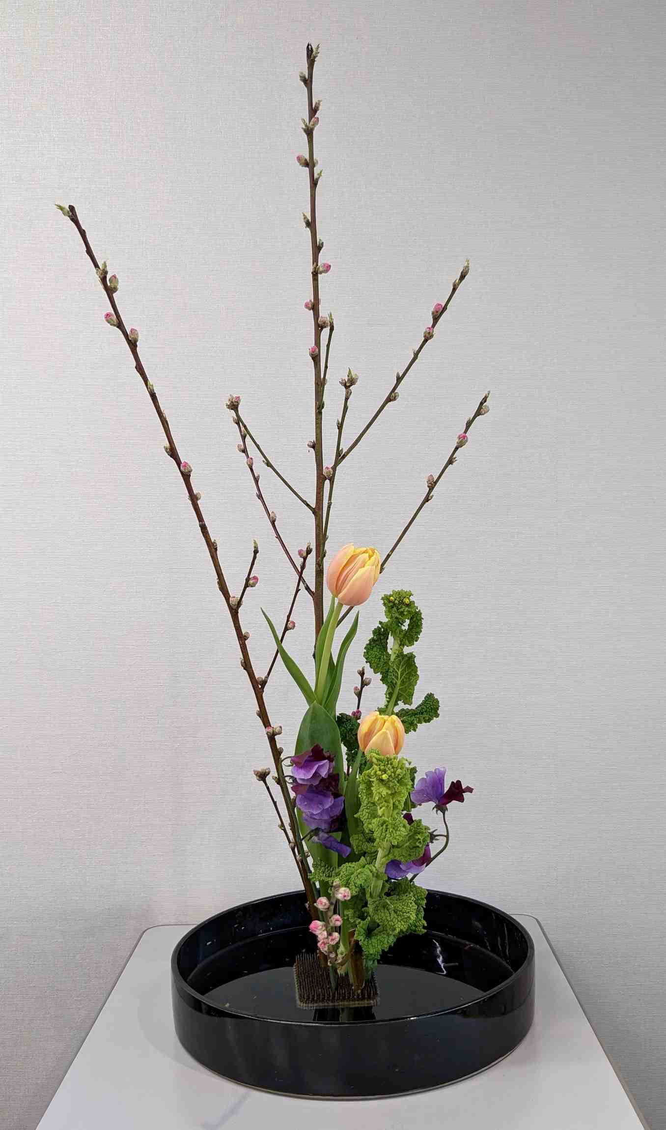 �u���֘A�摜�F�Γc���E���炵�̉ԁ@�@�B���[15�F30