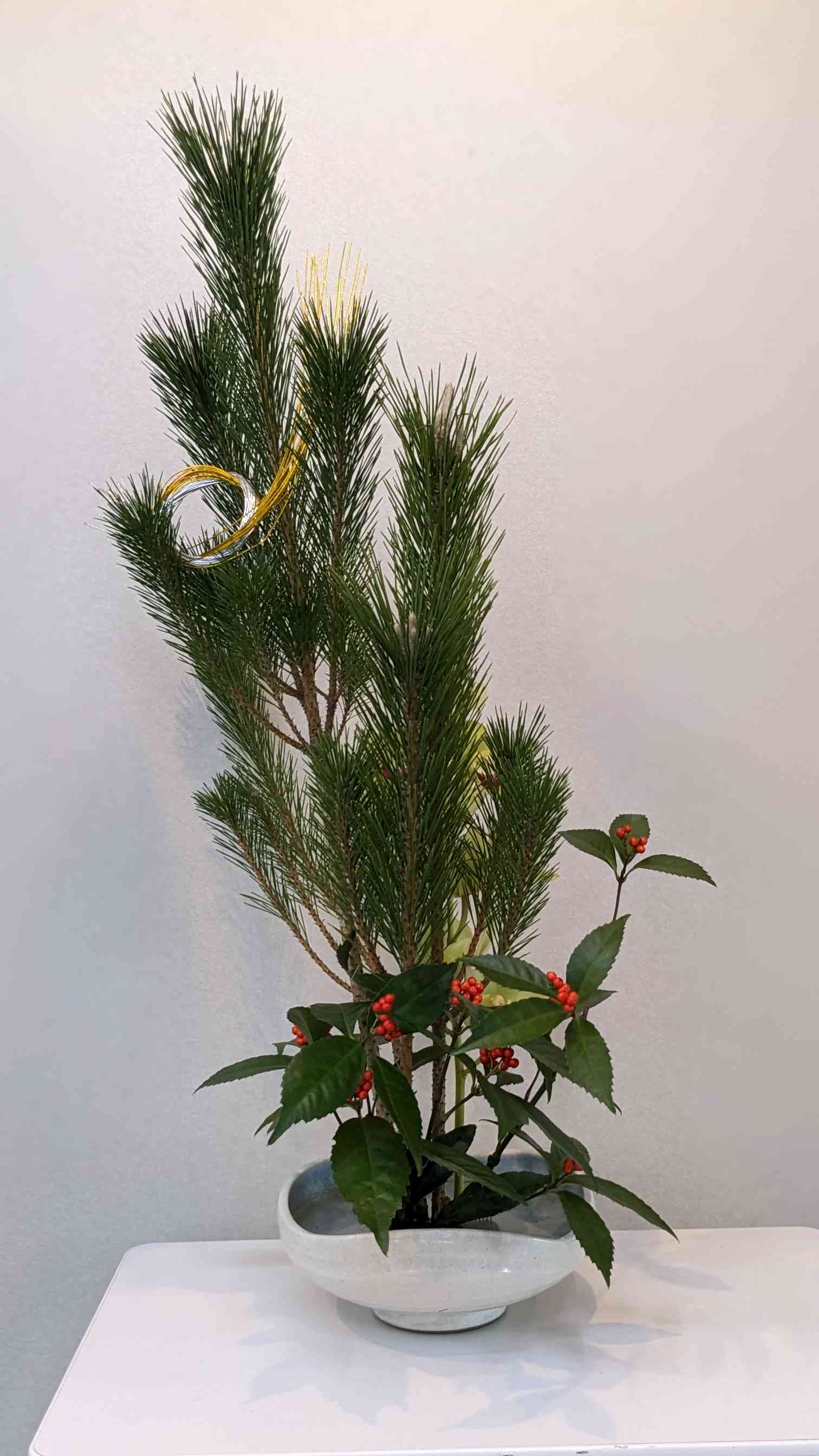 �u���֘A�摜�F�������@�@�B�Ζ�18�F30