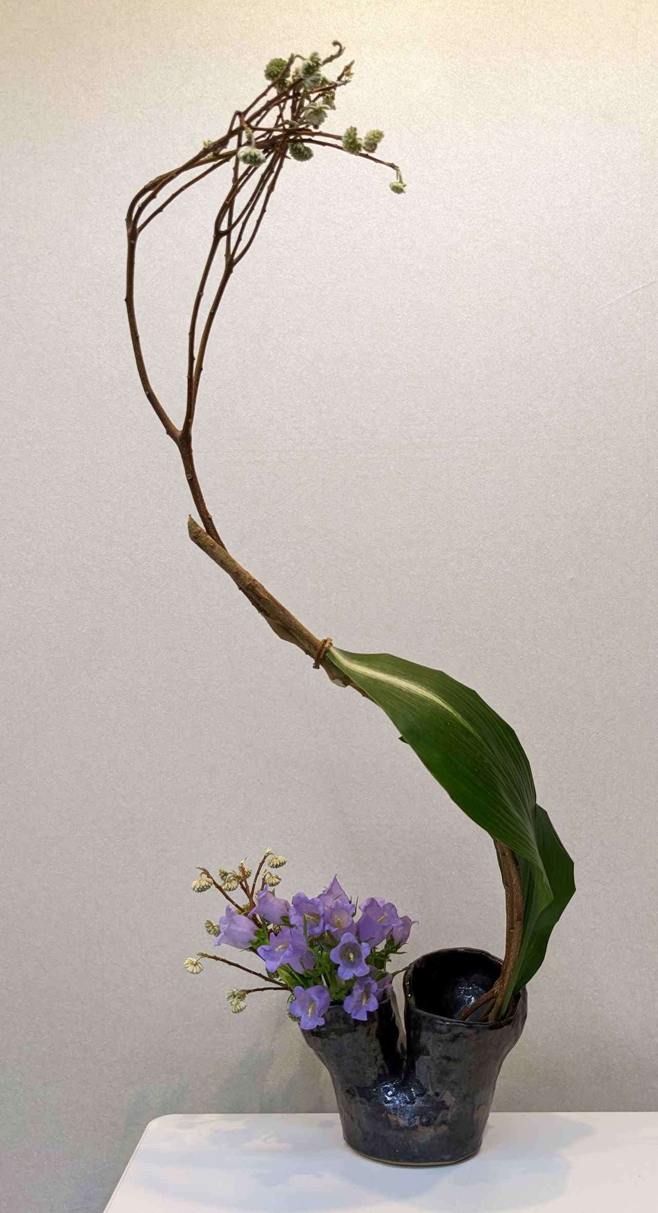 �u���֘A�摜�F�������@�@�B�Ζ�18�F30