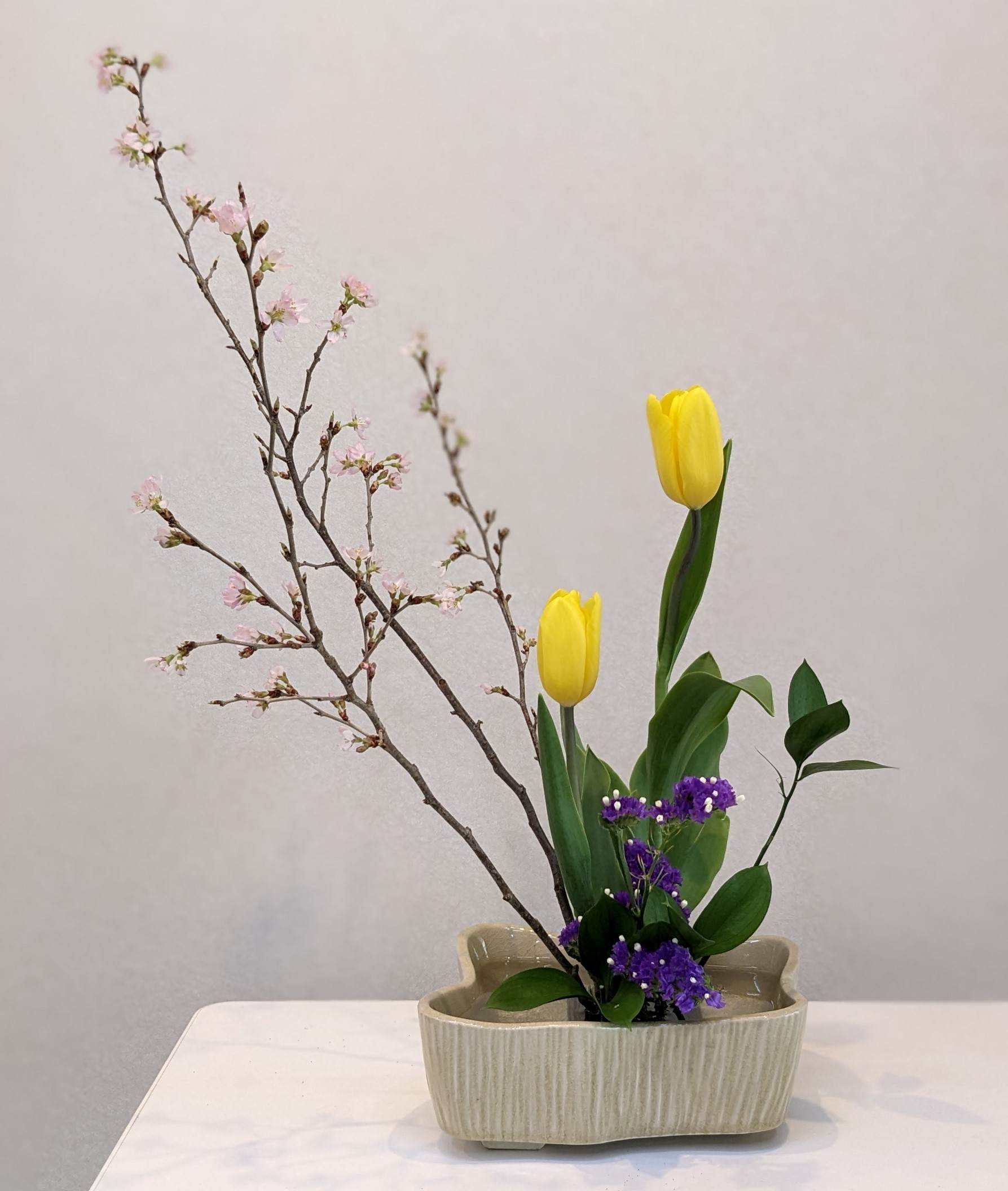 �u���֘A�摜�F�r�V�@�A�C����13�F00