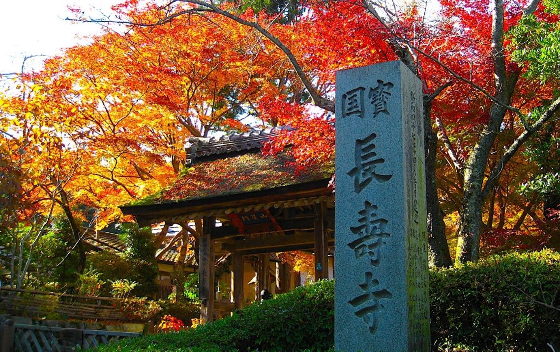 u֘A摜F_Ŕu̎v