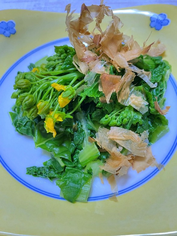 u֘A摜F₨搶̎sȂȉƒ؉