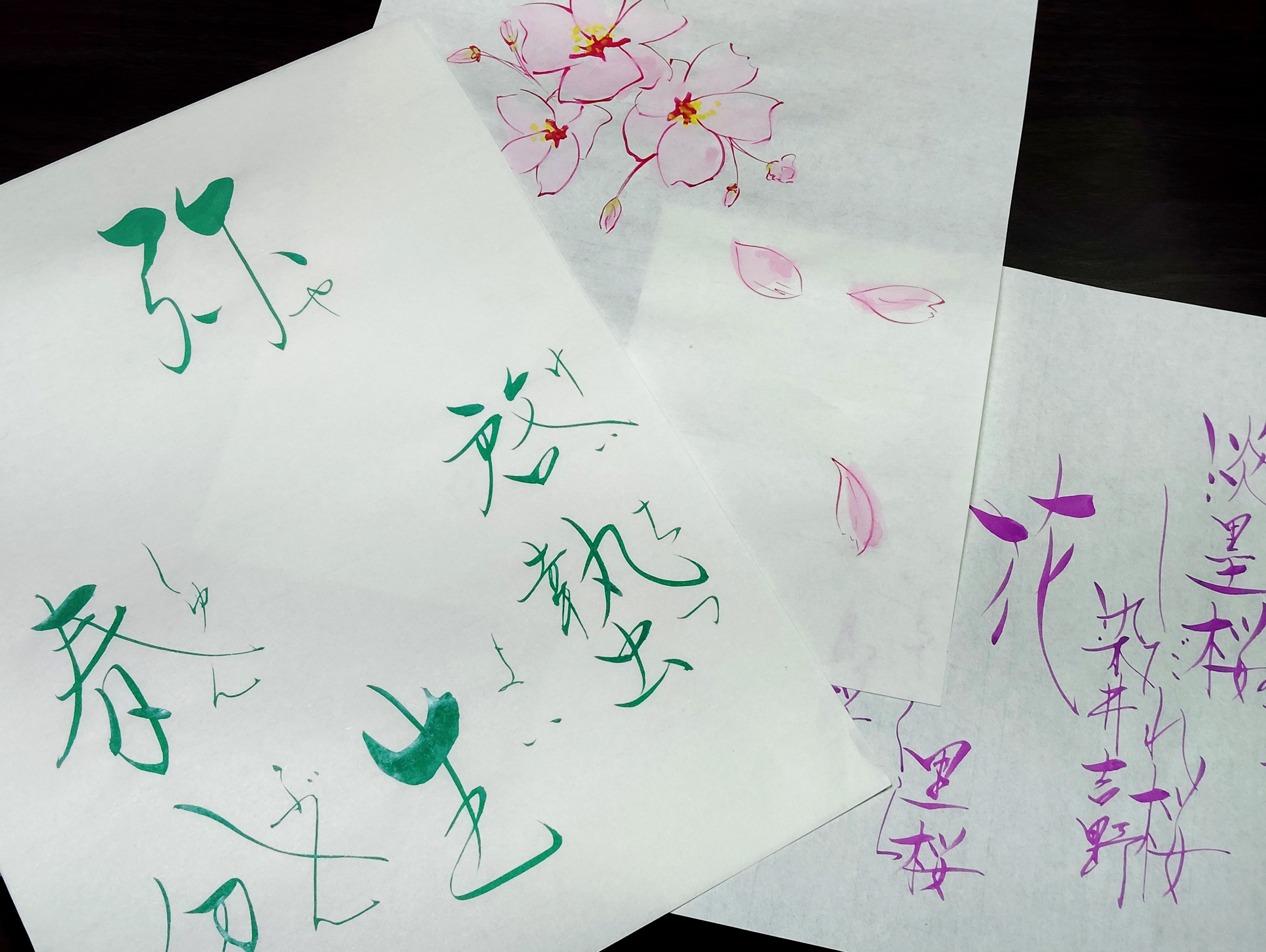 �u���֘A�摜�F�V��܂ƕ����i�q�j