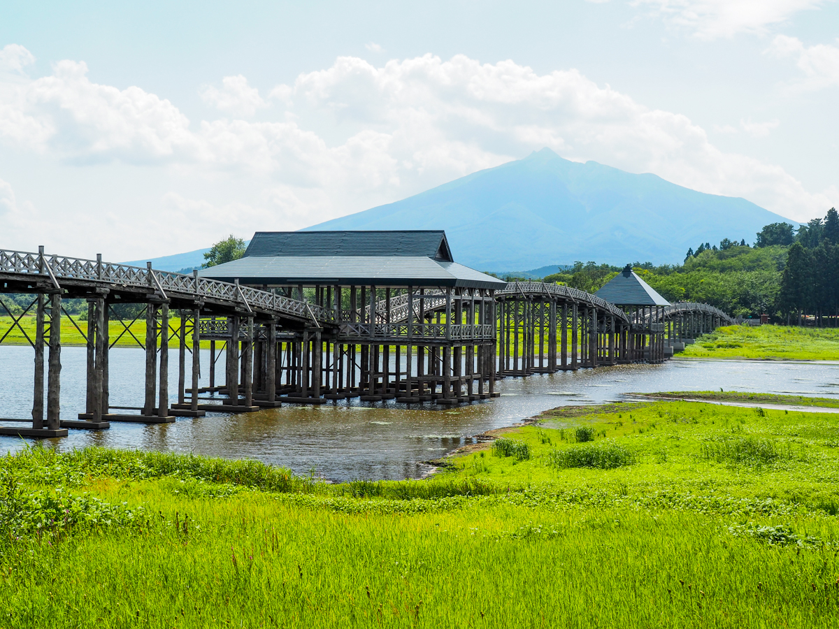 �u���֘A�摜�F�y�I�����C���z3/1 �����̃X�X���I