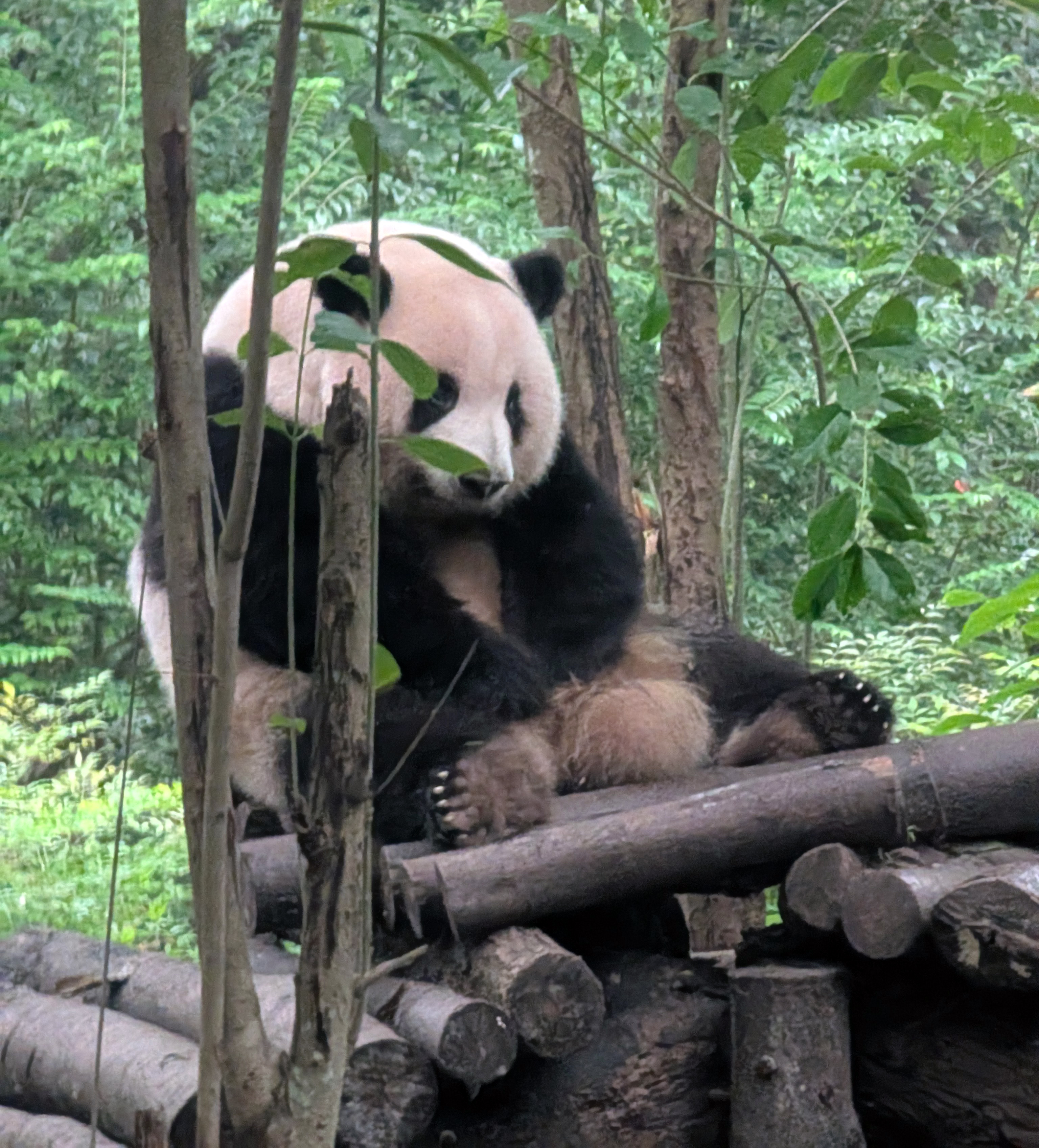 �u���֘A�摜�F�y1/25�z�����E���s��n�ցI�ЂƂ�ł��s���鏀���K�C�h