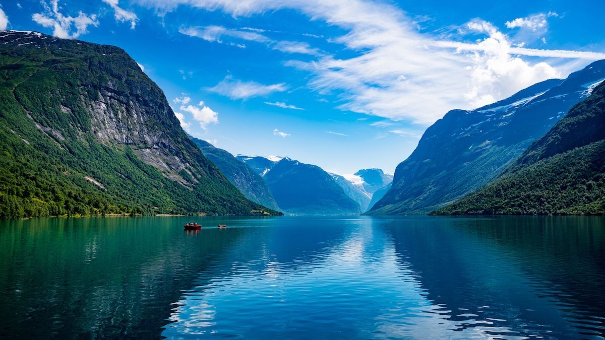 �u���֘A�摜�F���j�Ő��E���s