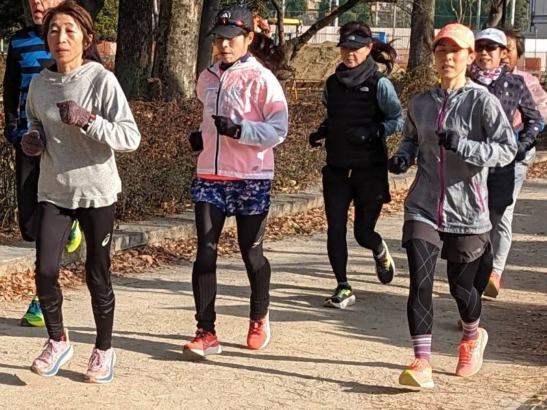 �u���֘A�摜�F���q�}���\���g���W���K�[�N���u�h