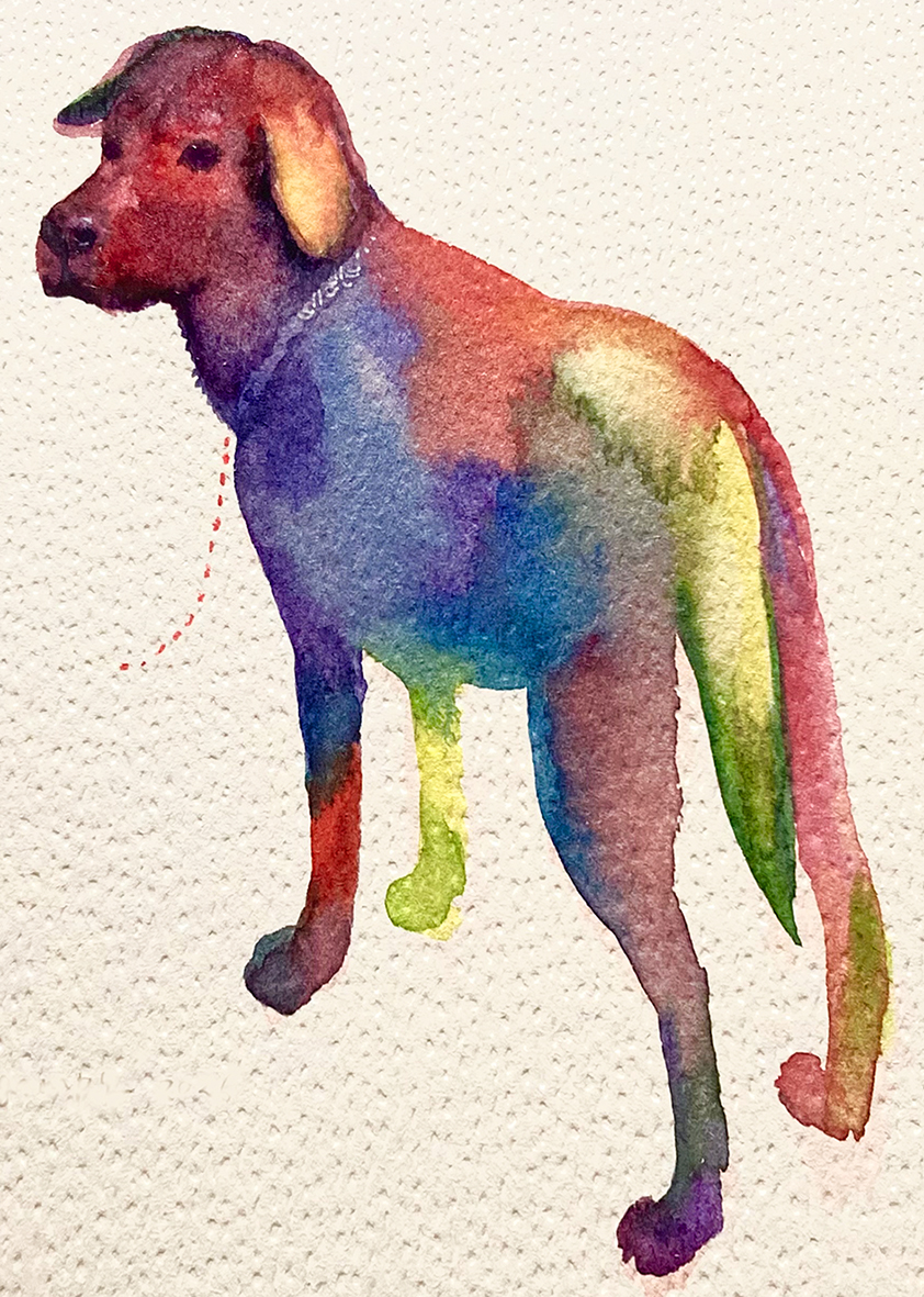 �u���֘A�摜�F�ᕟ���E�R�̊y�������ʃC���X�g�^���j