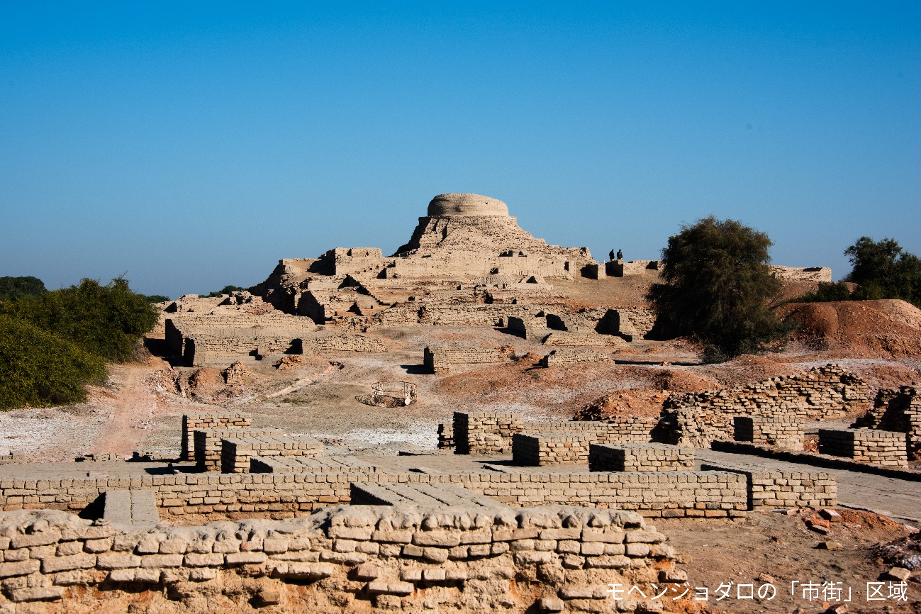 �u���֘A�摜�F�C���_�X�q�����r�̓�\�ŐV�����ŉ����������l�ގj