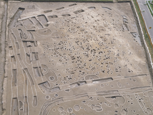 �u���֘A�摜�F�l�Êw���珎���̐����j��T��\���m�����̔��@�������ʂ���