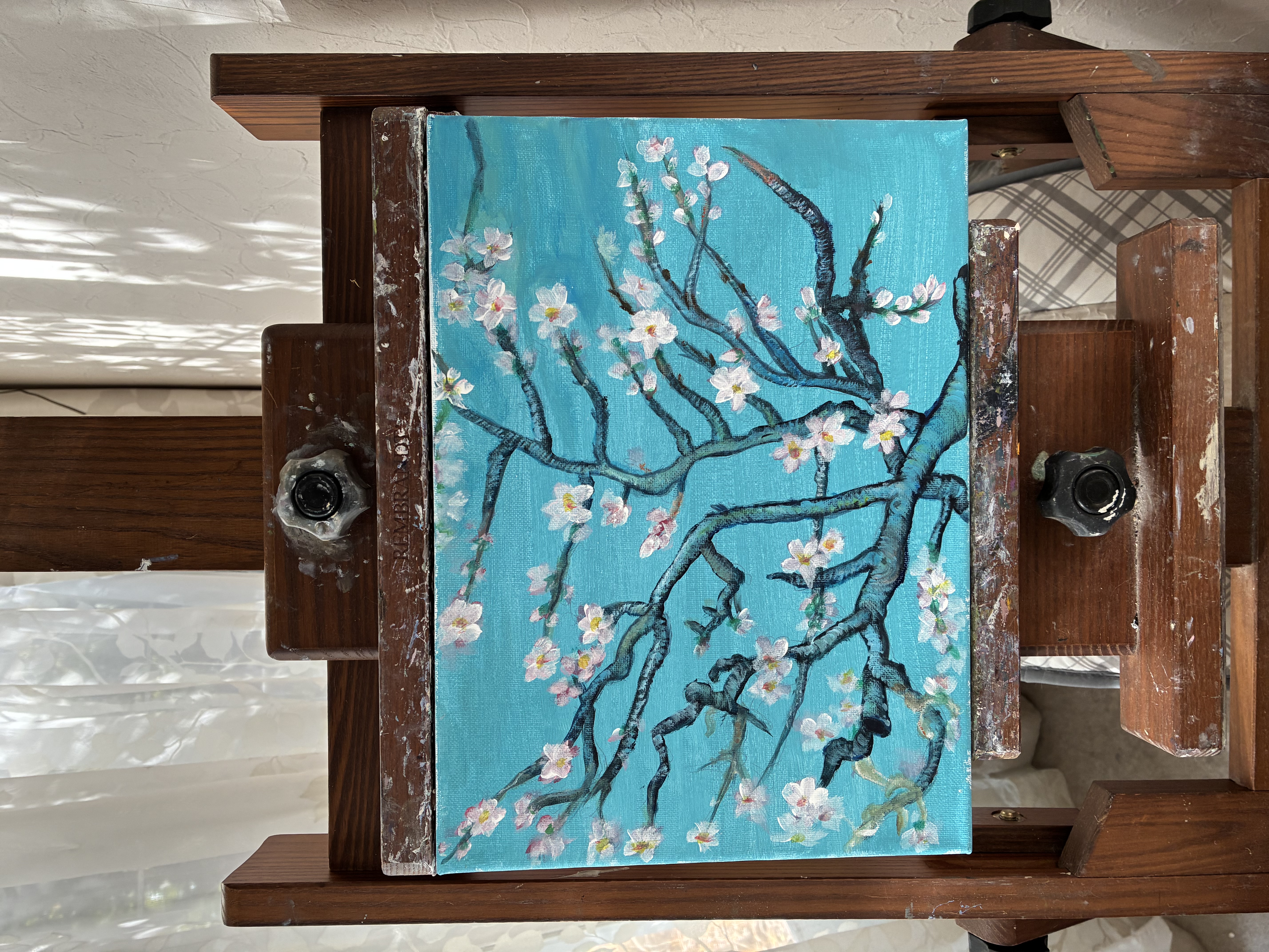 �u���֘A�摜�F�S�b�z��`����