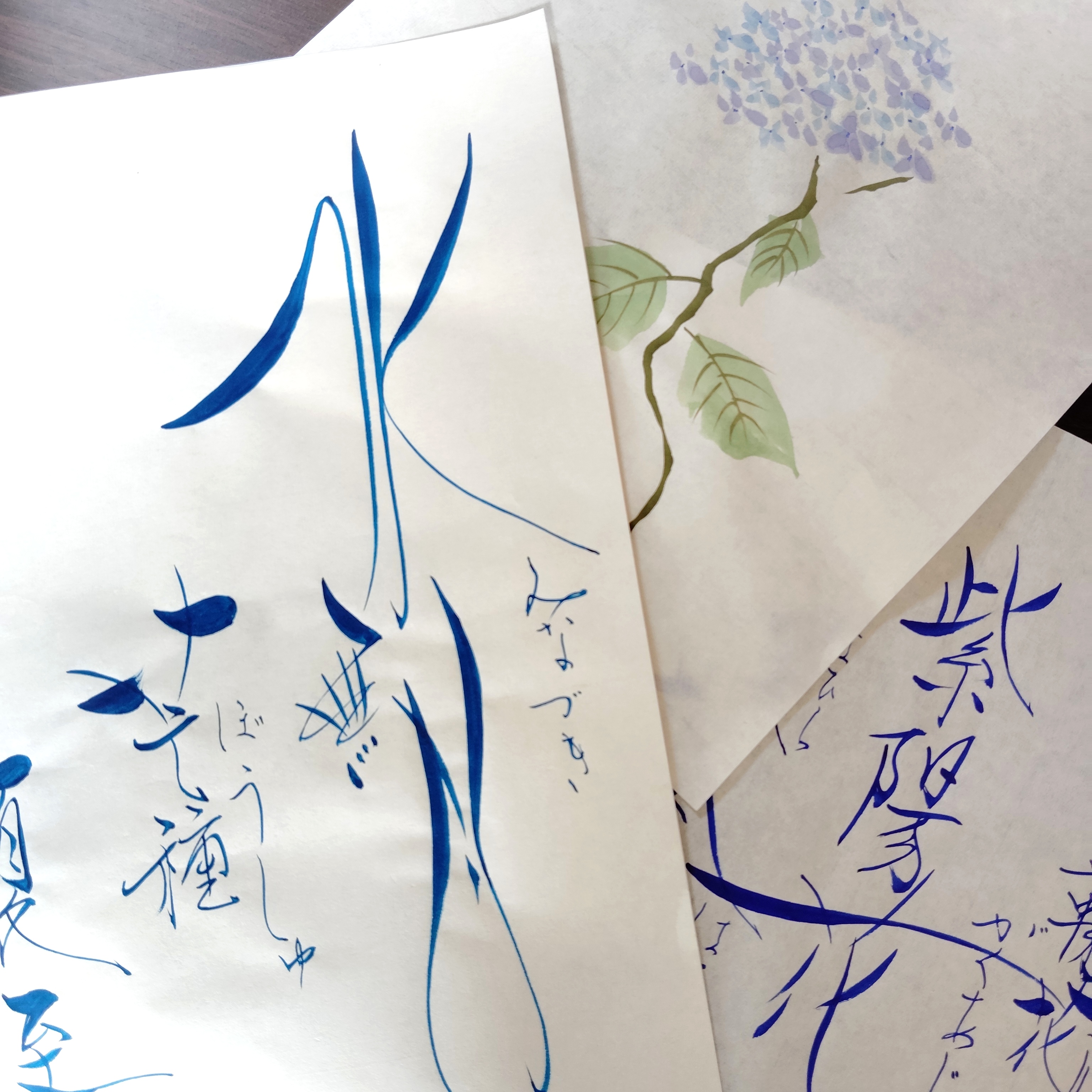 �u���֘A�摜�F�V��܂ƕ����i�q�j