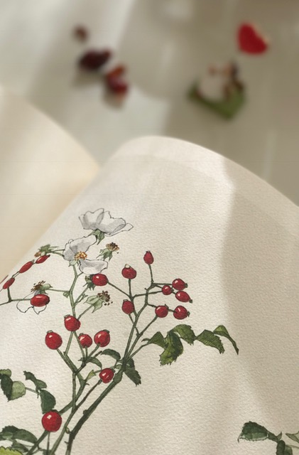 �u���֘A�摜�F���ƍ���̖����\��