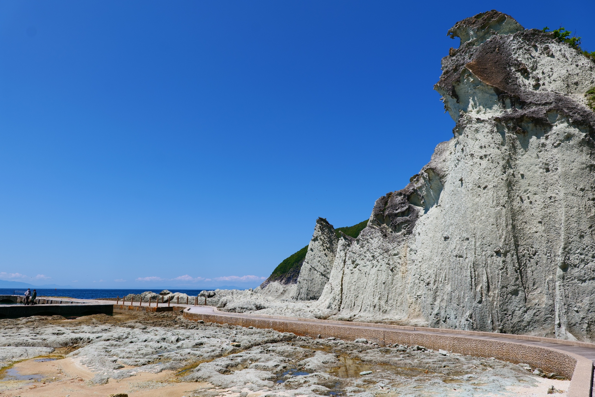 �u���֘A�摜�F���{�W�I�p�[�N�w����