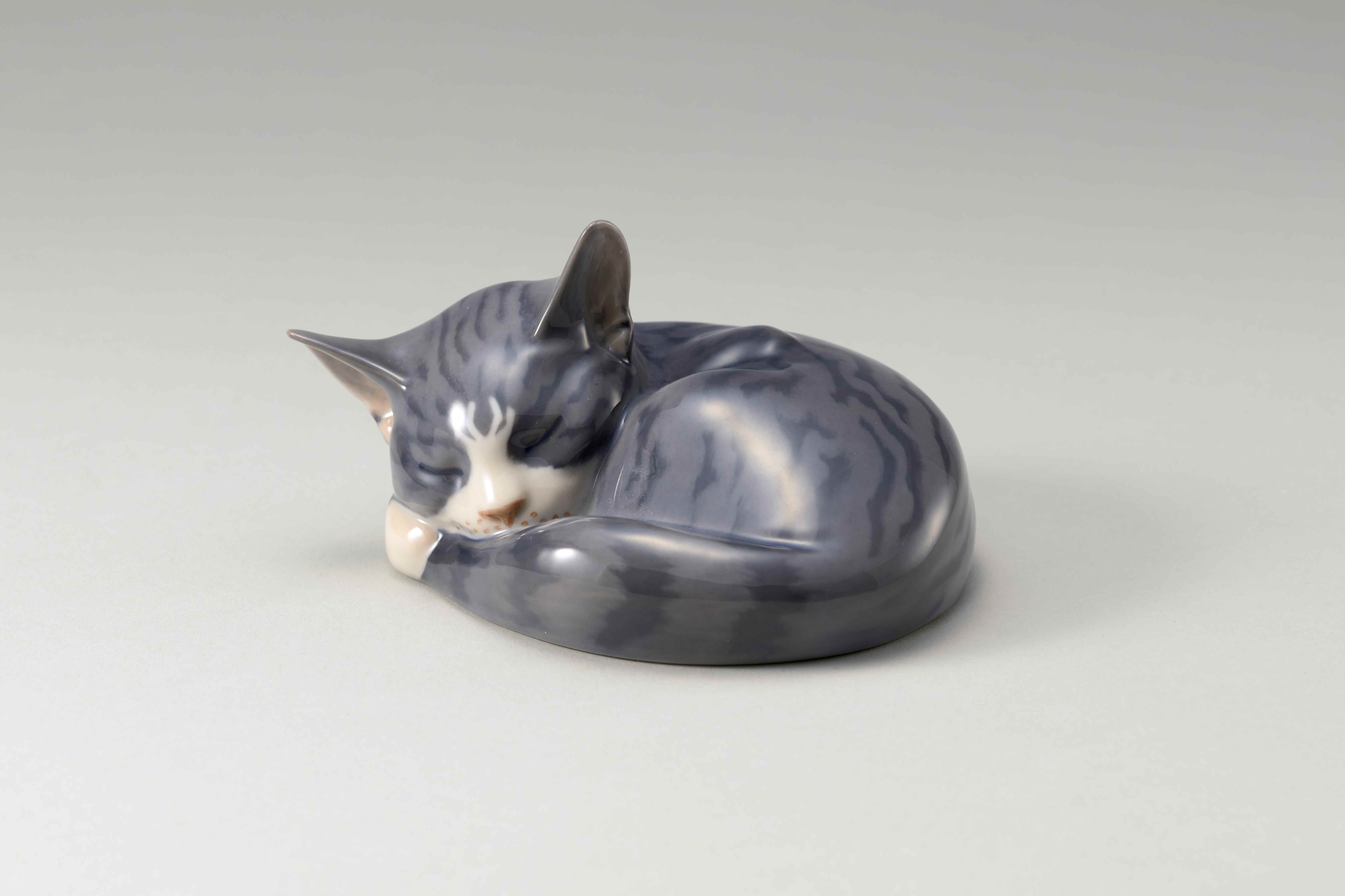 �u���֘A�摜�F�y4/5�z�@���C���� �R�y���n�[�Q���Ɩk���f�U�C��