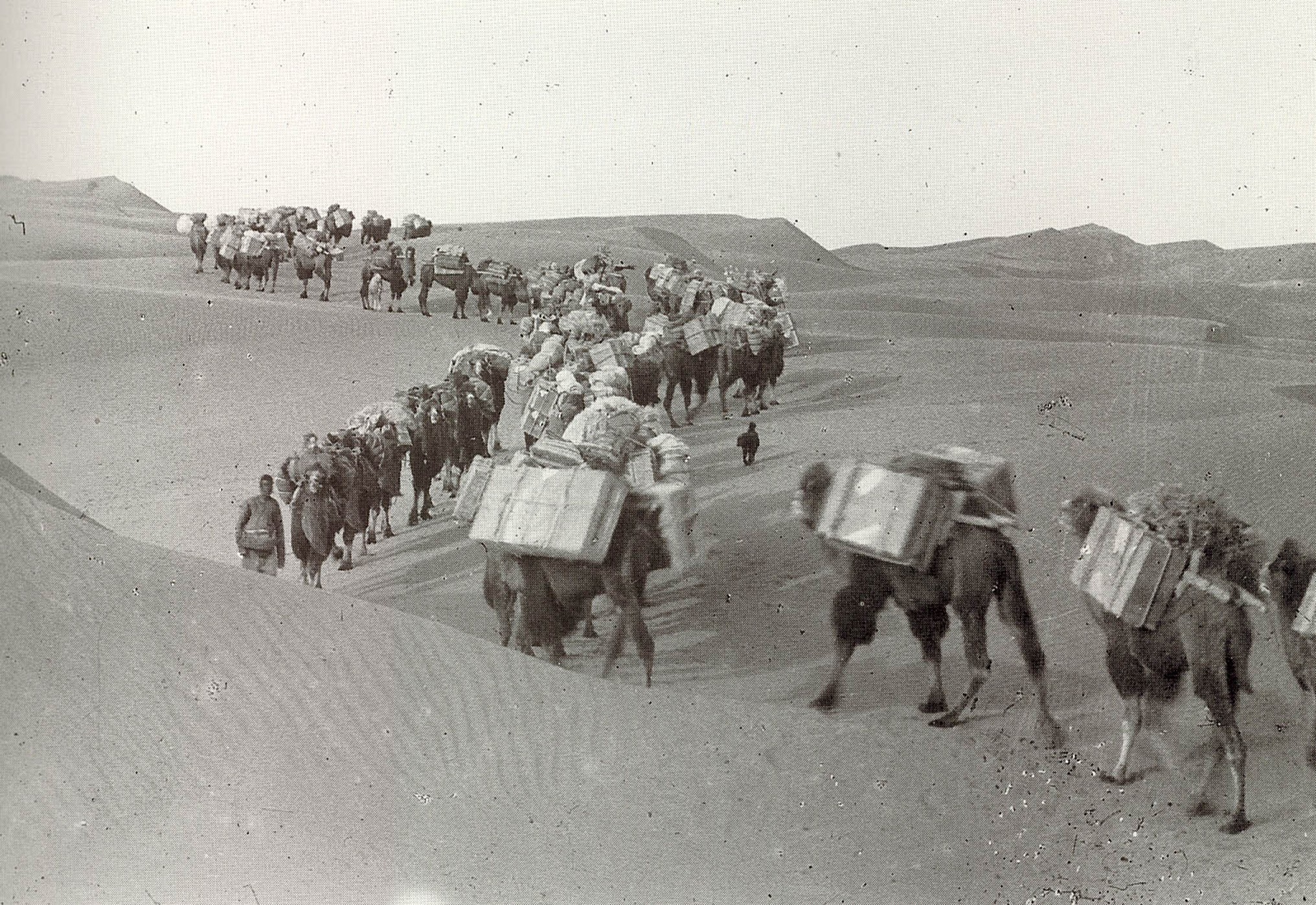 �u���֘A�摜�F20���I�����̃V���N���[�h�T���j