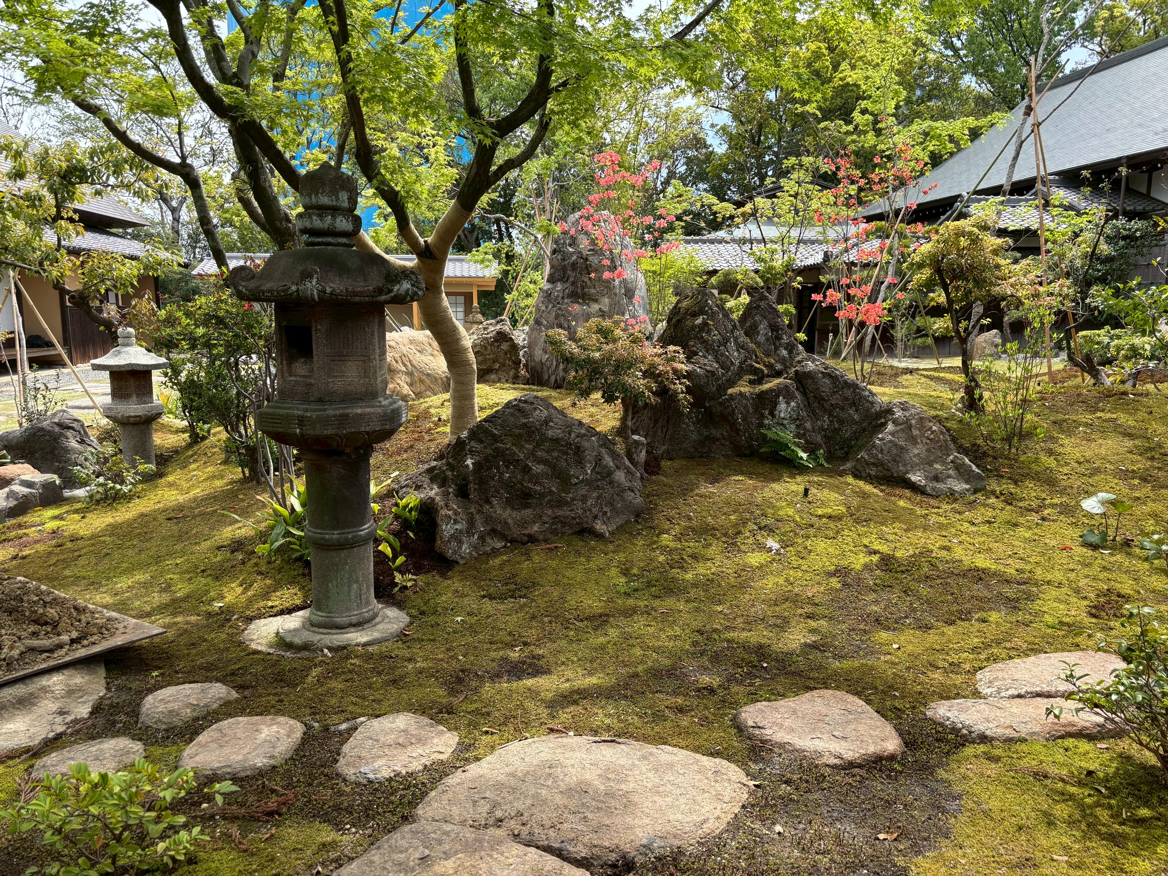 �u���֘A�摜�F�y5/18�z�o���R���׎��뉀���w��