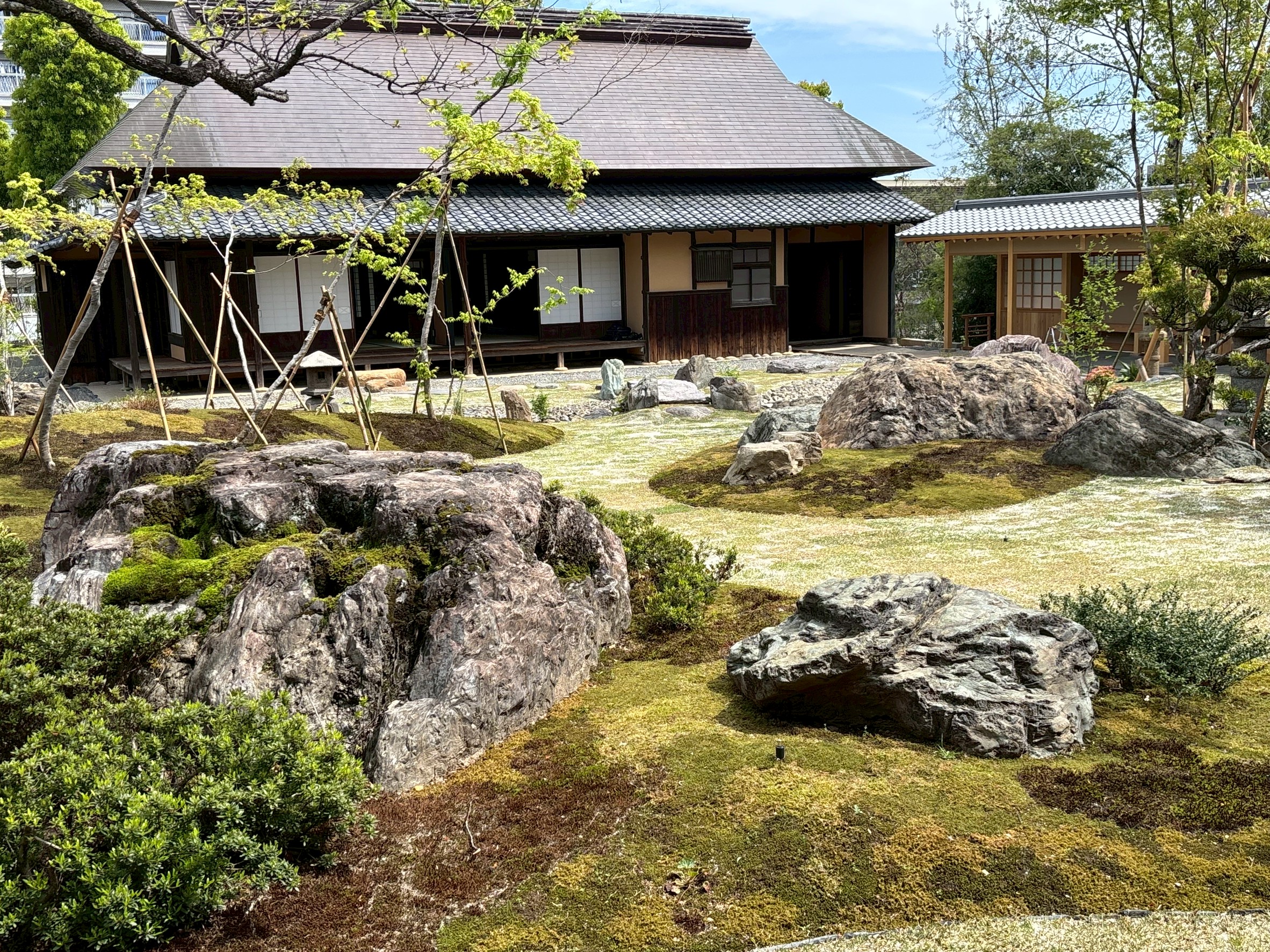 �u���֘A�摜�F�y5/18�z�o���R���׎��뉀���w��