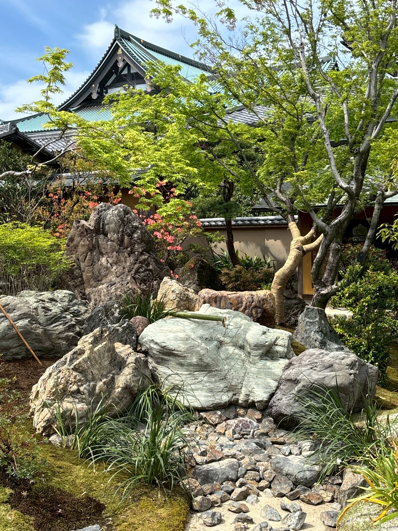 �u���֘A�摜�F�y5/18�z�o���R���׎��뉀���w��