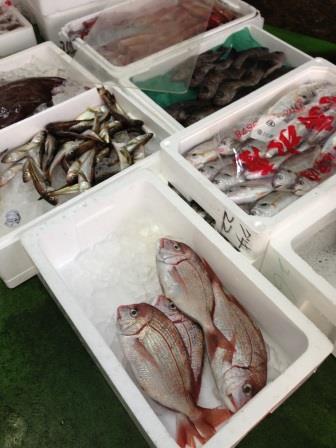 u֘A摜Fy12/11zšwcA[