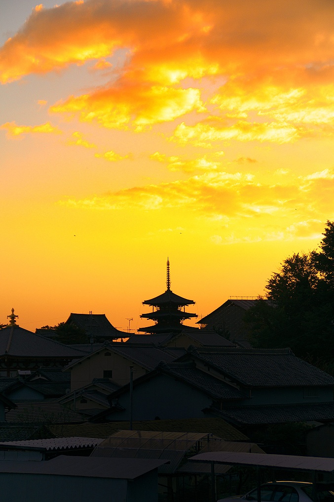 奈良大和路の古寺・古仏