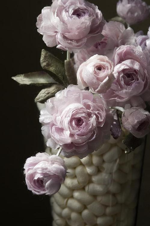 u֘A摜FԂ܂