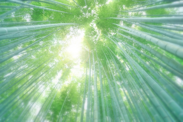 u֘A摜F炭炭CN@