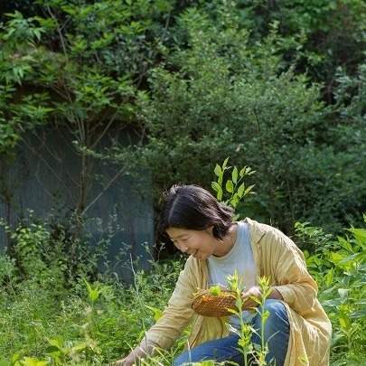 �u���֘A�摜�F�y1/21�z�g�߂Șa�n�[�u�� �������h�q���