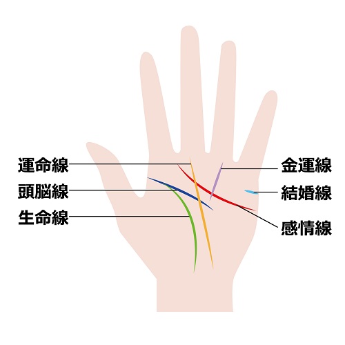 �u���֘A�摜�F�y1/31�z�葊�E�J�o����p�ōK�^���Ăԁ@2026�N��ǂ��N�ɁI