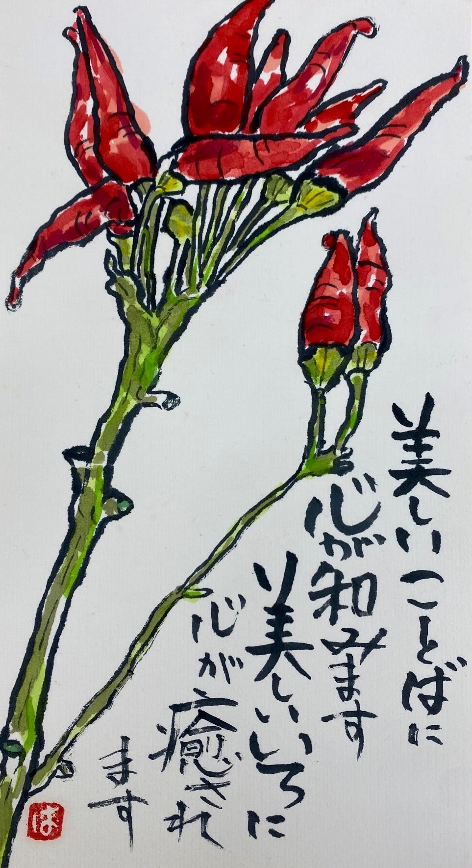 u֘A摜F邱ĂG莆