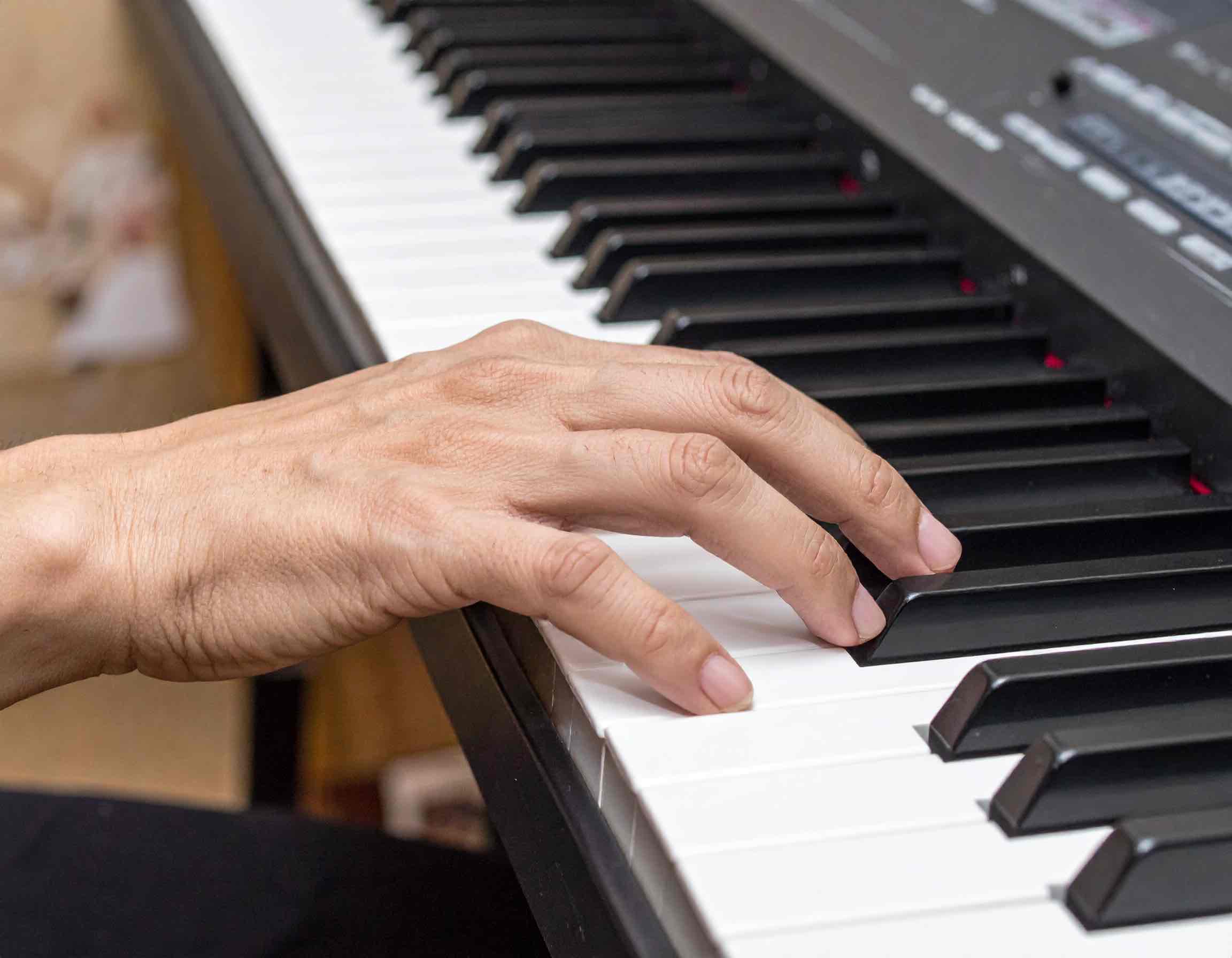 �u���֘A�摜�F�V�j�A�̂��߂̔]�g���s�A�m&reg;�i13�F00�`�N���X�j