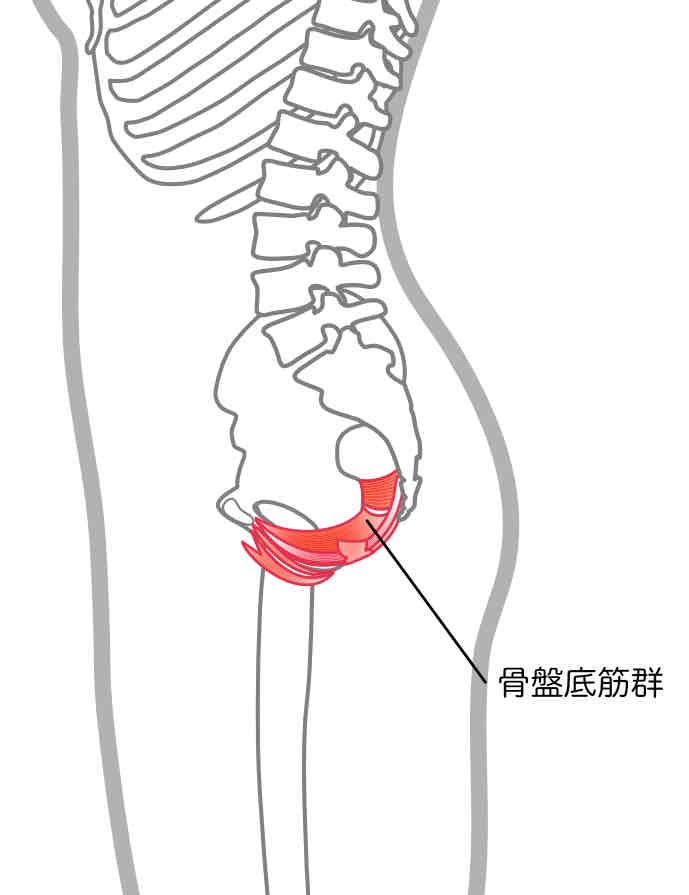 u֘A摜Fy7/2zq̌urՒ،Qg[jO
