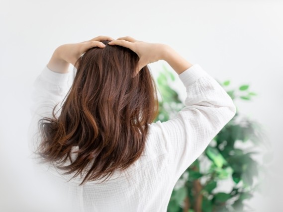 3503574_s - �R�s�[.jpg