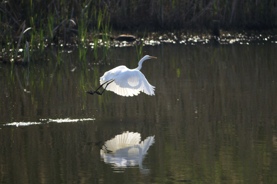 �u���֘A�摜�F�ʐ^����