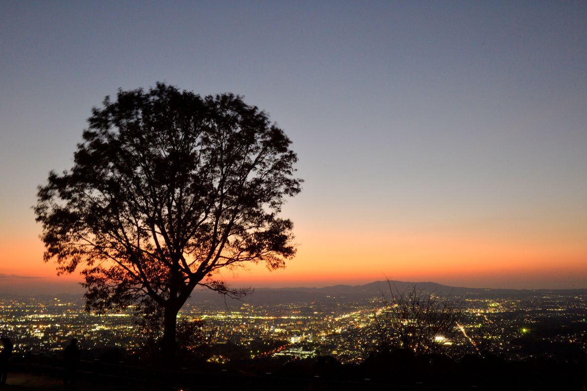 �u���֘A�摜�F�ʐ^����