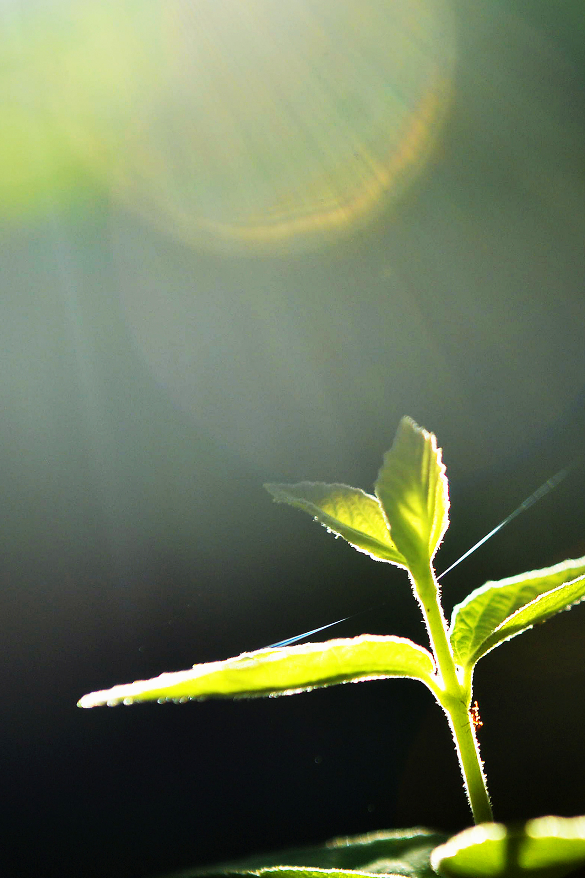 �u���֘A�摜�F�ʐ^����